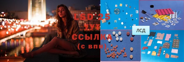 ГАЛЛЮЦИНОГЕННЫЕ ГРИБЫ Горняк