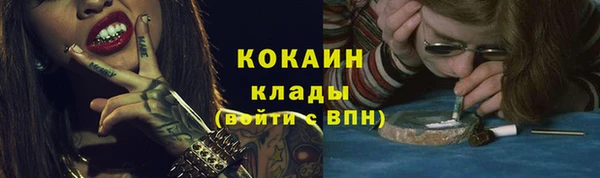 ГАЛЛЮЦИНОГЕННЫЕ ГРИБЫ Горняк