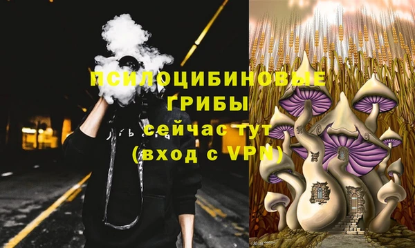 МДПВ Горно-Алтайск