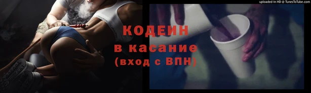 ГАЛЛЮЦИНОГЕННЫЕ ГРИБЫ Горняк