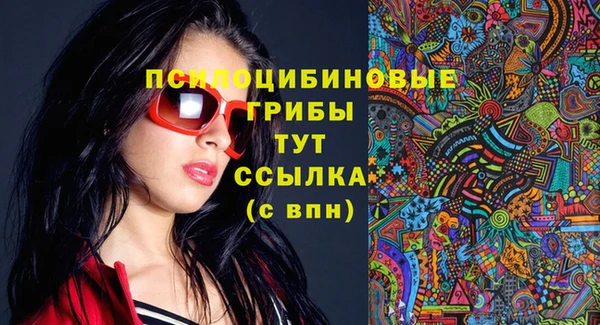 дмт Горнозаводск