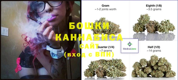 ГАЛЛЮЦИНОГЕННЫЕ ГРИБЫ Горняк