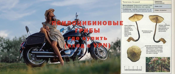 дмт Горнозаводск