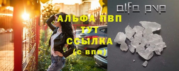 ГАЛЛЮЦИНОГЕННЫЕ ГРИБЫ Горняк