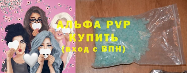 ГАЛЛЮЦИНОГЕННЫЕ ГРИБЫ Горняк