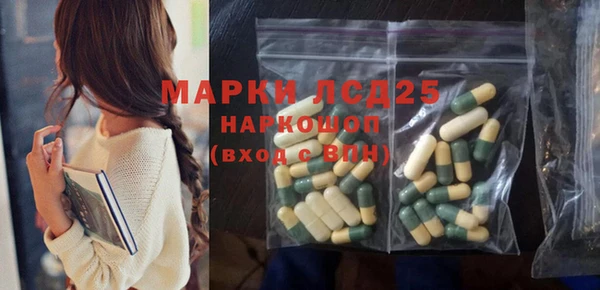 ГАЛЛЮЦИНОГЕННЫЕ ГРИБЫ Горняк