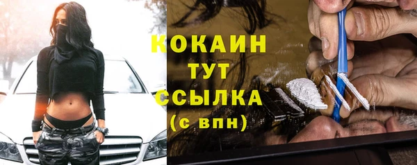 ГАЛЛЮЦИНОГЕННЫЕ ГРИБЫ Горняк